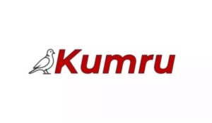 kumru yapay zeka yerli mi turk mali mi 9mhASvwK.jpg